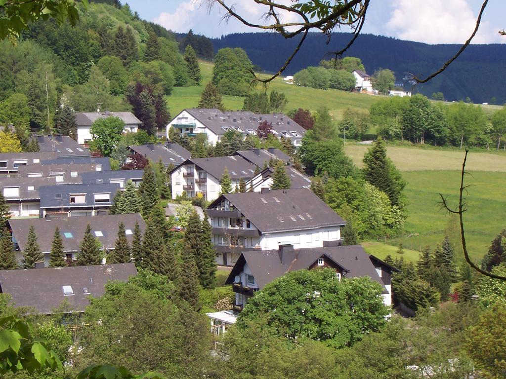 Wietheger'S Ferienwohnungen Gaestehaus Strycktal II Willingen Kültér fotó